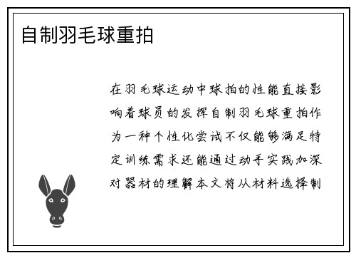 自制羽毛球重拍